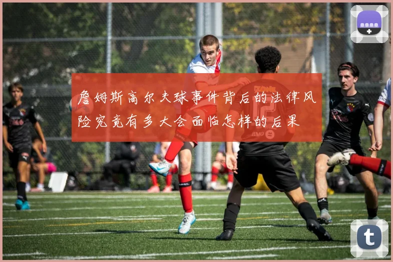 詹姆斯高尔夫球事件背后的法律风险究竟有多大会面临怎样的后果